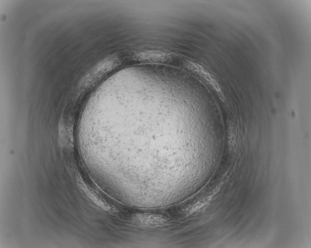 X0000085270633200703161430