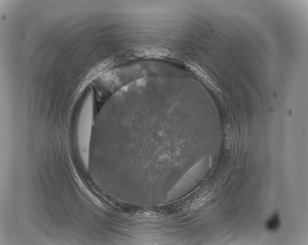 X0000085270634200703161430