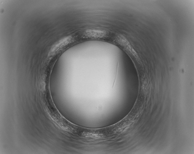 X0000085270635200703161430