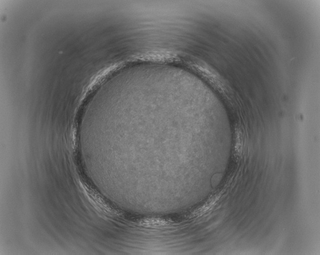 X0000085270636200703161430