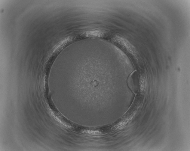 X0000085270637200703161430