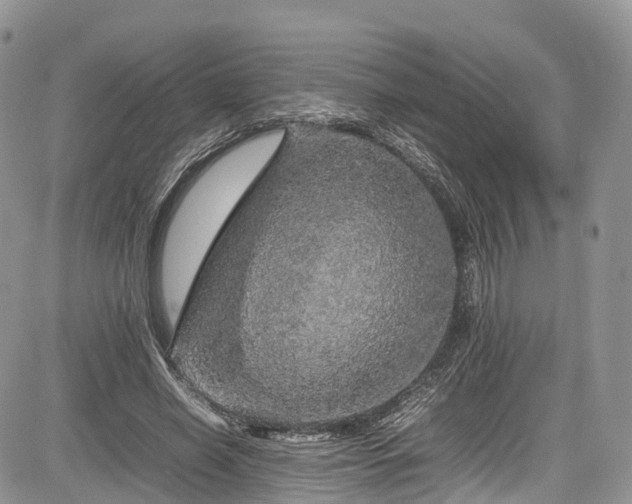 X0000085270638200703161431