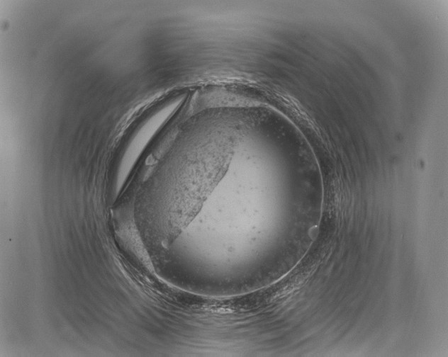 X0000085270640200703161431