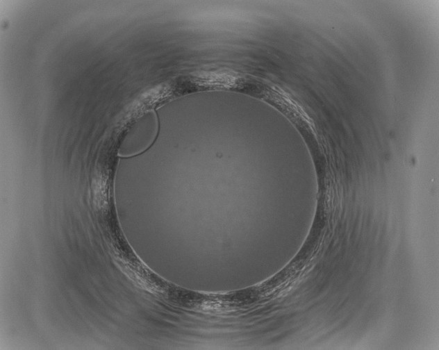 X0000085270641200703161431