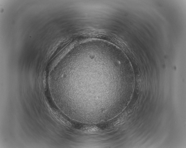 X0000085270642200703161431