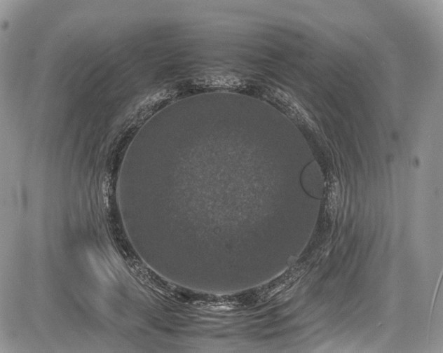 X0000085270643200703161431