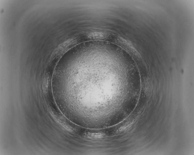 X0000085270645200703161431