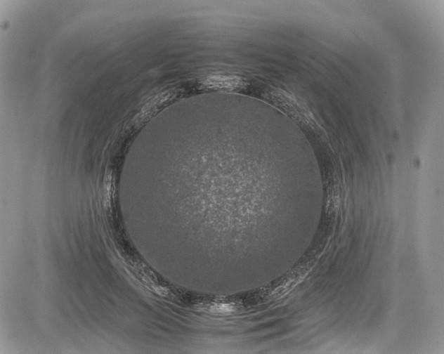 X0000085270647200703161431