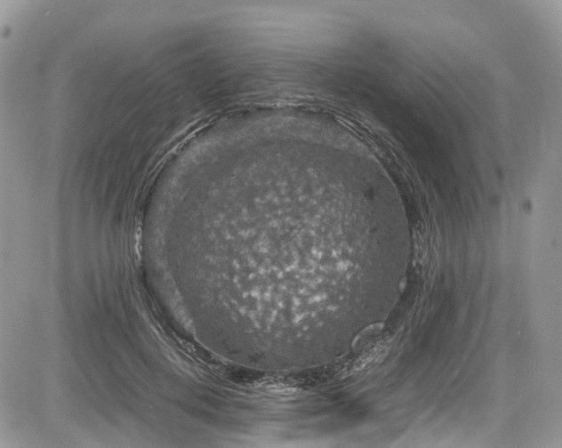 X0000085270648200703161431