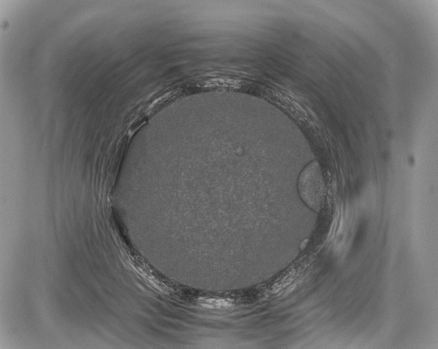 X0000085270649200703161431