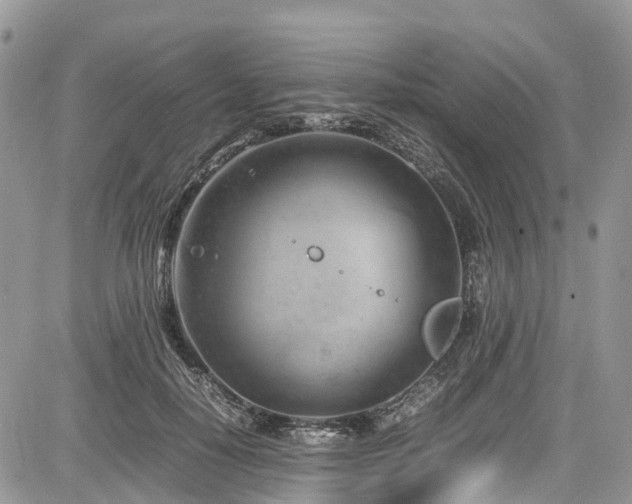 X0000085270650200703161431