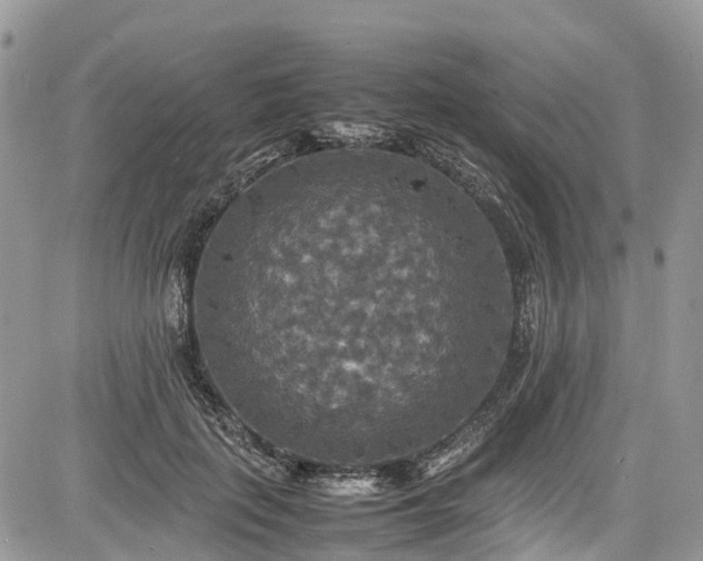 X0000085270651200703161431