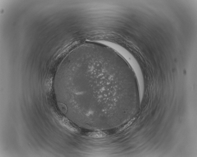 X0000085270652200703161431