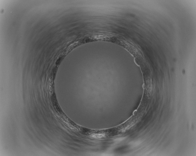 X0000085270653200703161431