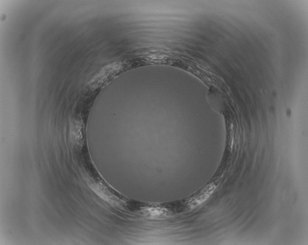 X0000085270654200703161431