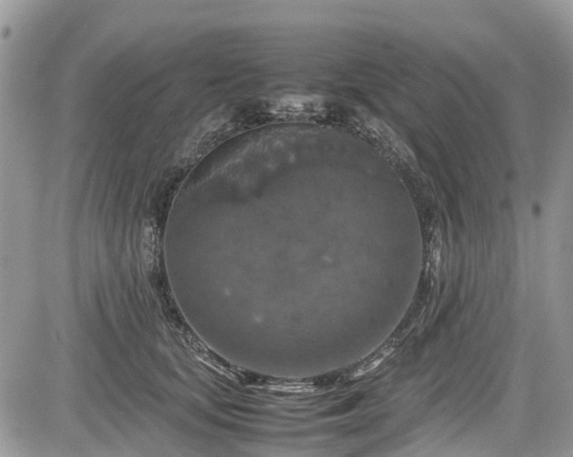 X0000085270659200703161431