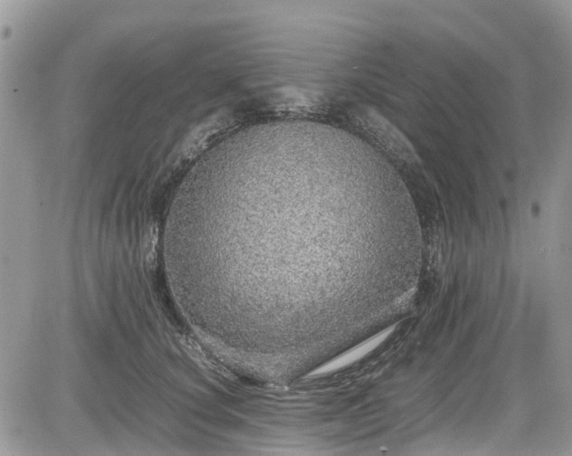 X0000085270660200703161431