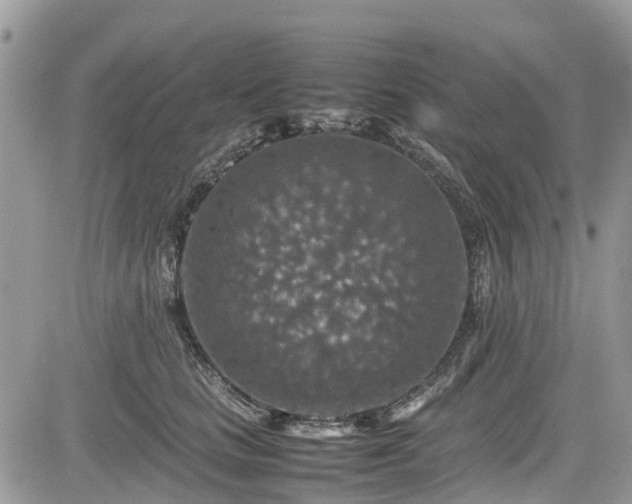 X0000085270661200703161431