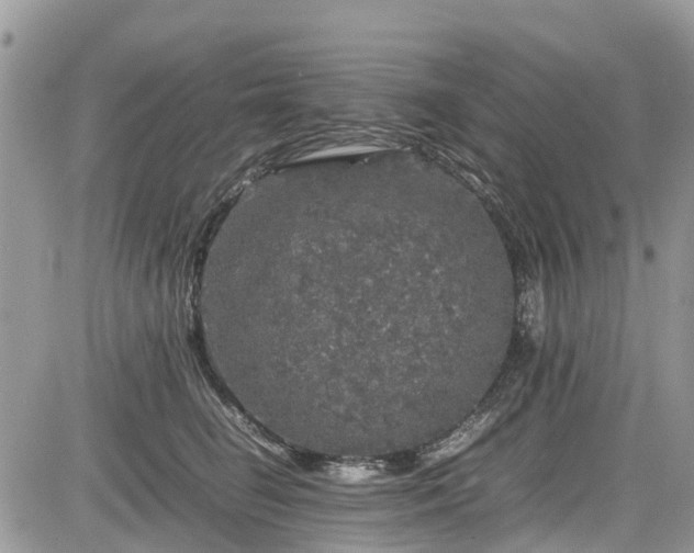 X0000085270662200703161431