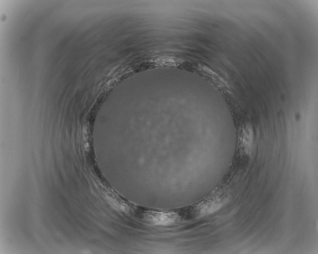 X0000085270663200703161431