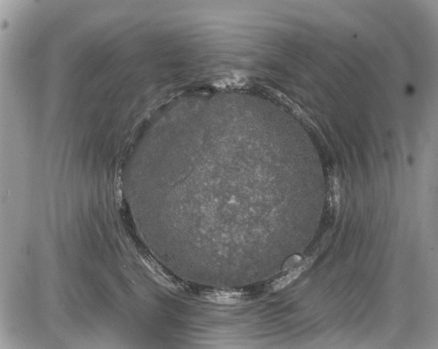 X0000085270664200703161431