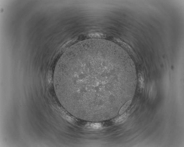 X0000085270665200703161431