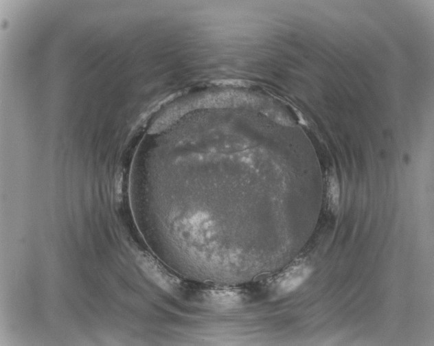 X0000085270668200703161431