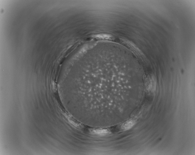 X0000085270669200703161431