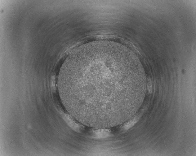 X0000085270670200703161431