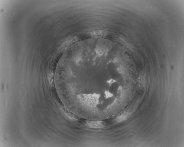 X0000085270671200703161431