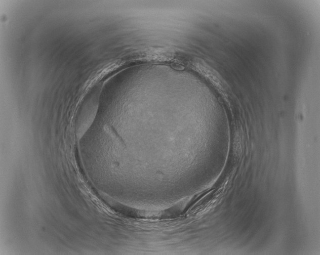 X0000085270673200703161430