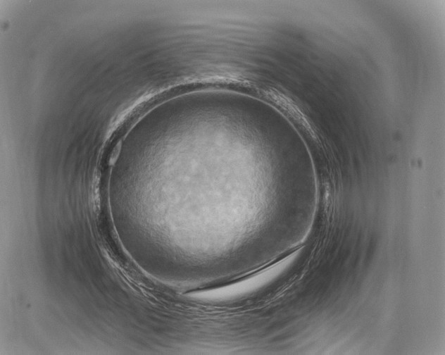 X0000085270676200703161430