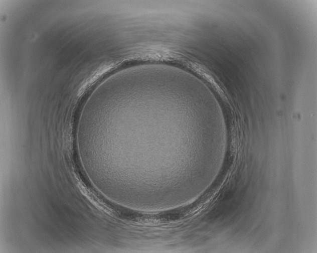 X0000085270677200703161430