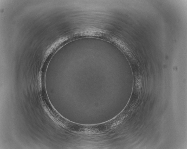 X0000085270678200703161430