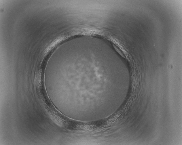 X0000085270679200703161430