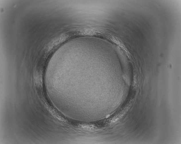 X0000085270681200703161430