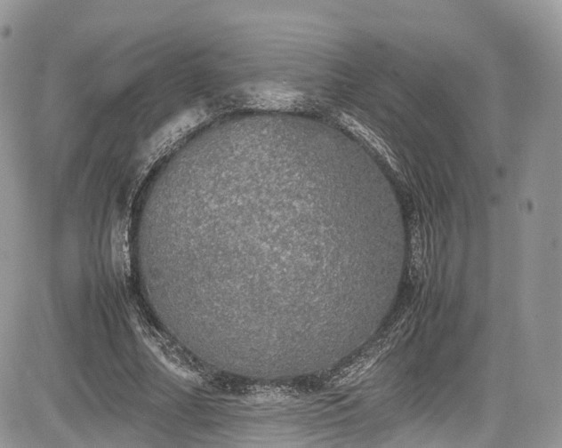 X0000085270682200703161430