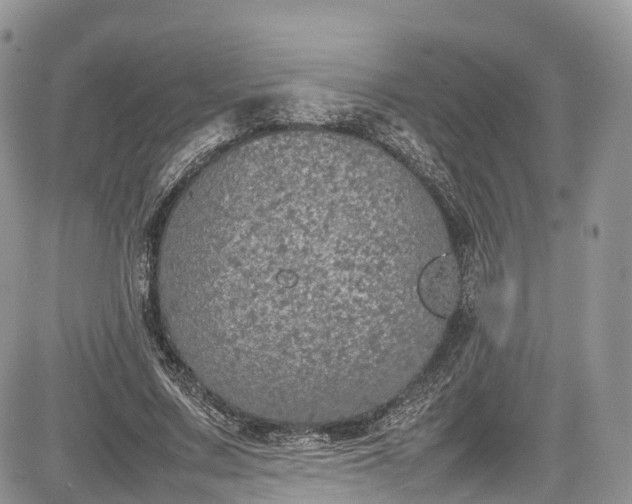 X0000085270683200703161430