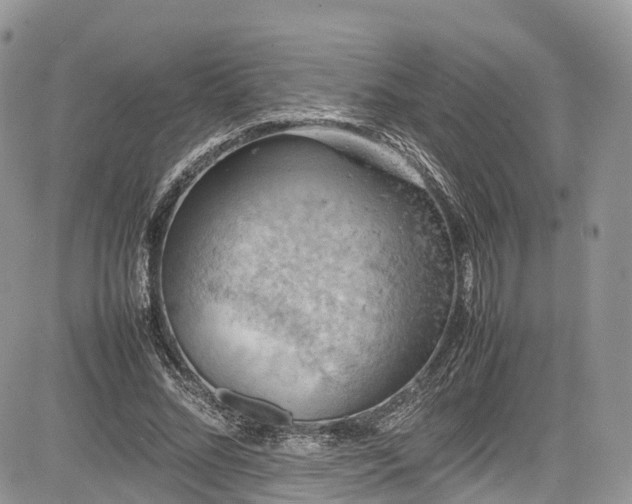 X0000085270684200703161430