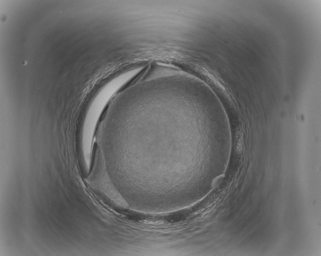 X0000085270685200703161430