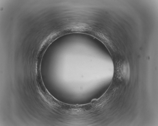 X0000085270686200703161430