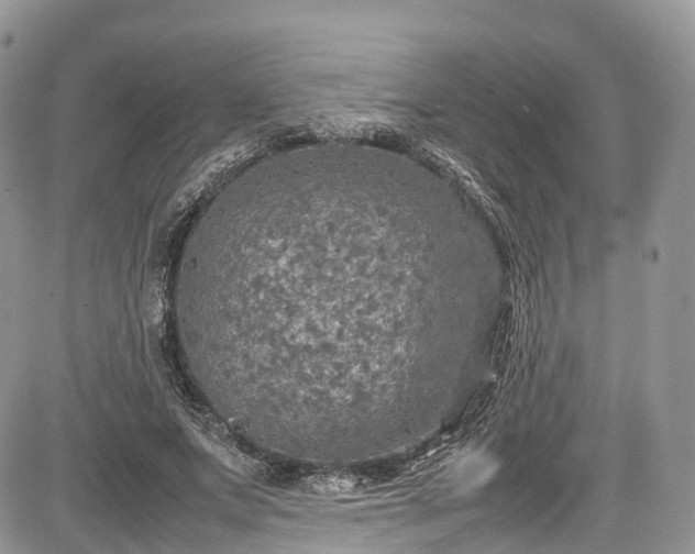 X0000085270687200703161430