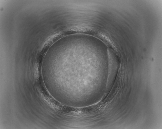 X0000085270688200703161430