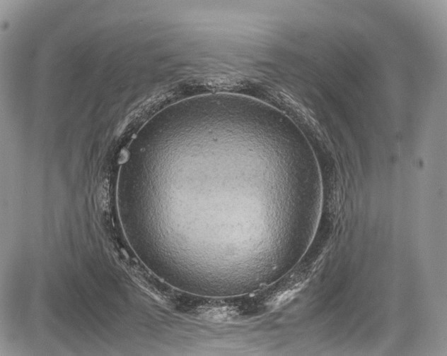 X0000085270689200703161430