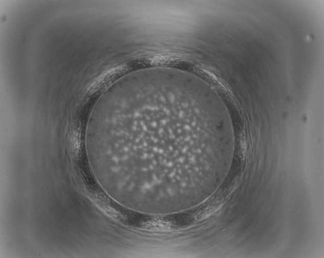 X0000085270691200703161430