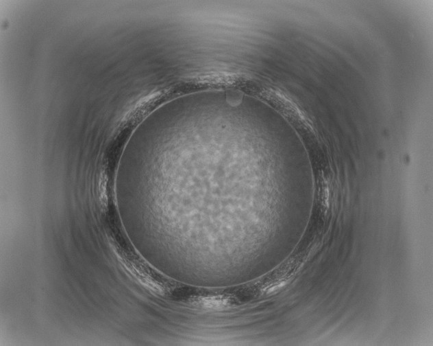 X0000085270692200703161430