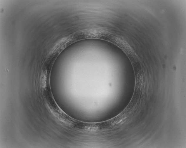 X0000085270694200703161430