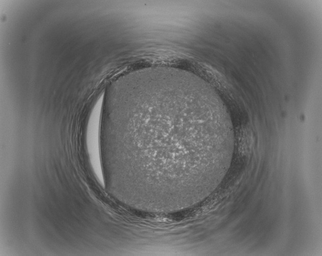 X0000085270695200703161430