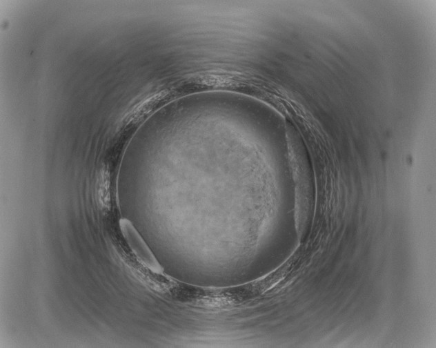 X0000085270696200703161430