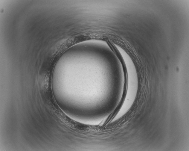 X0000085270697200703161430